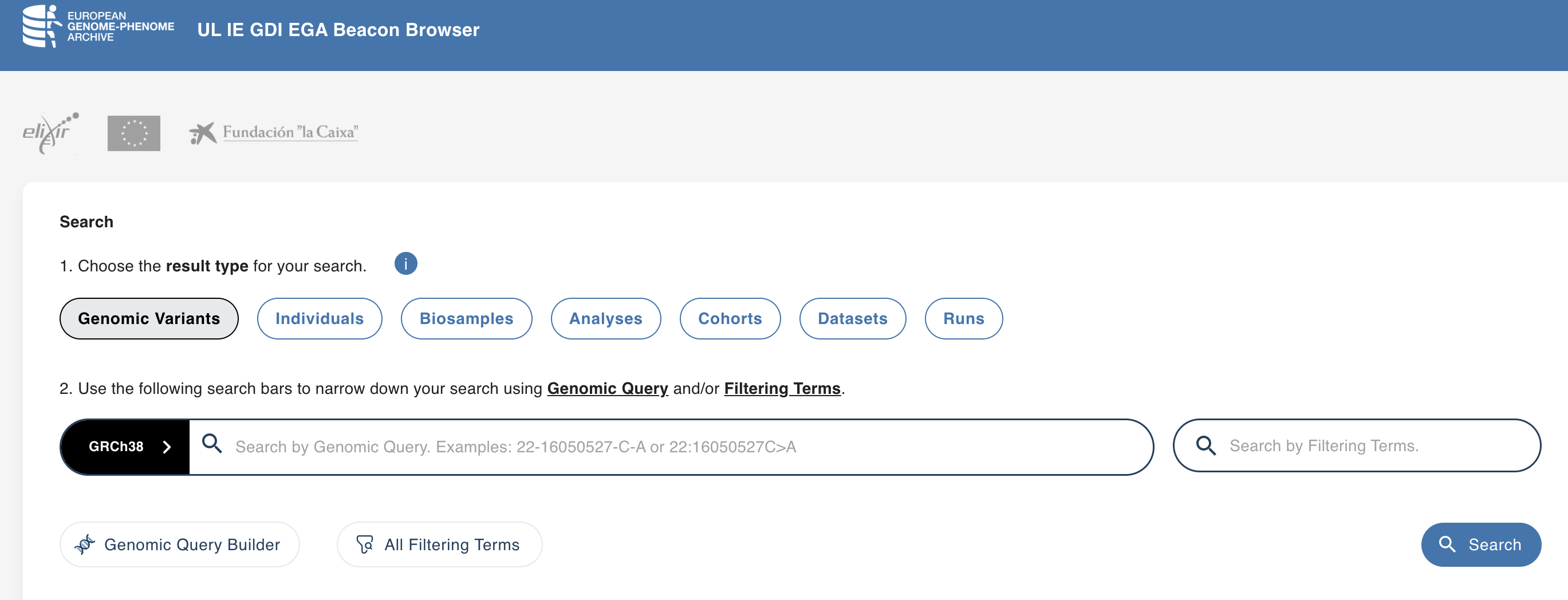 Screenshot of Irish GA4GH beacon GDI search tool